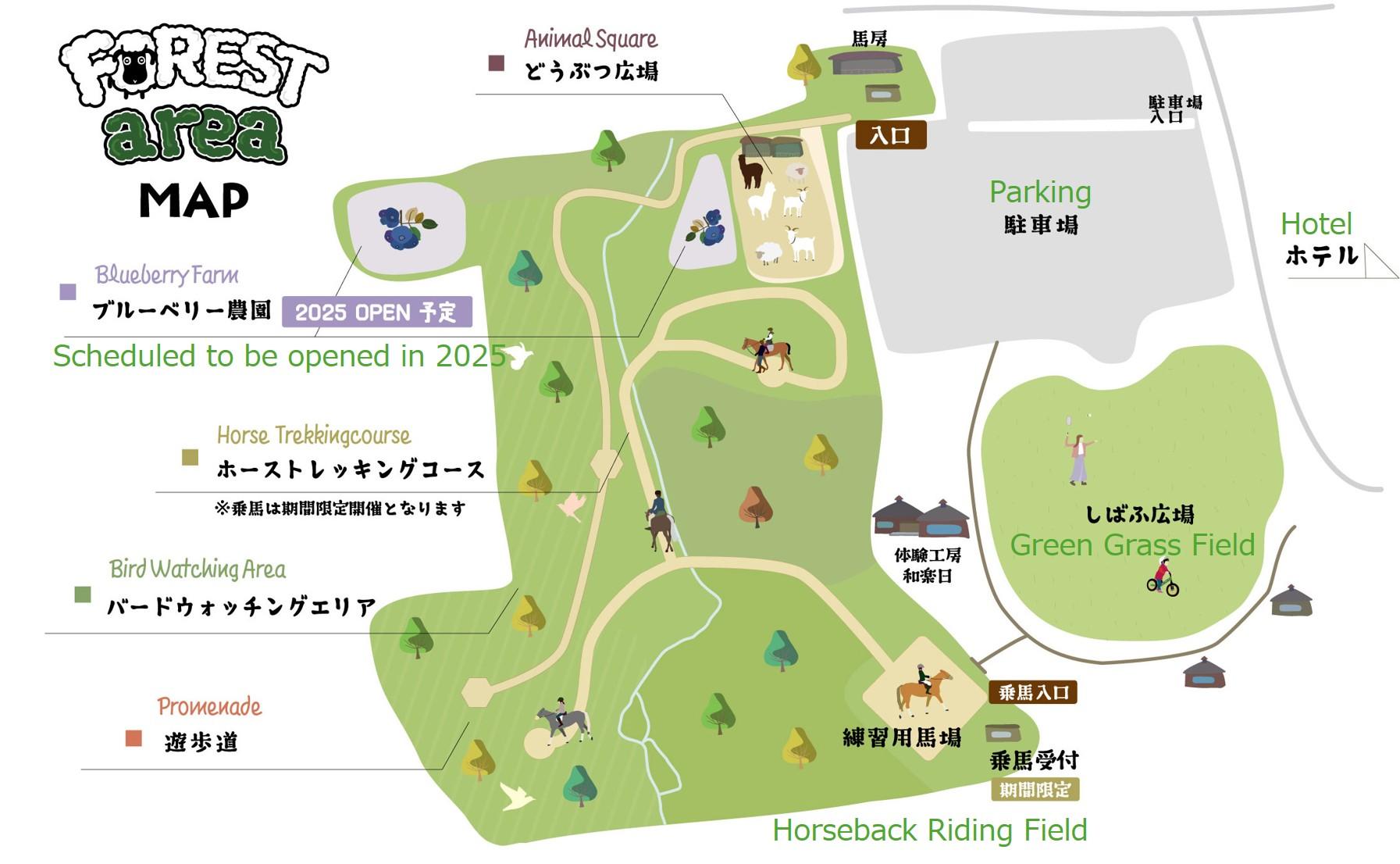 forestarea2EN.jpg