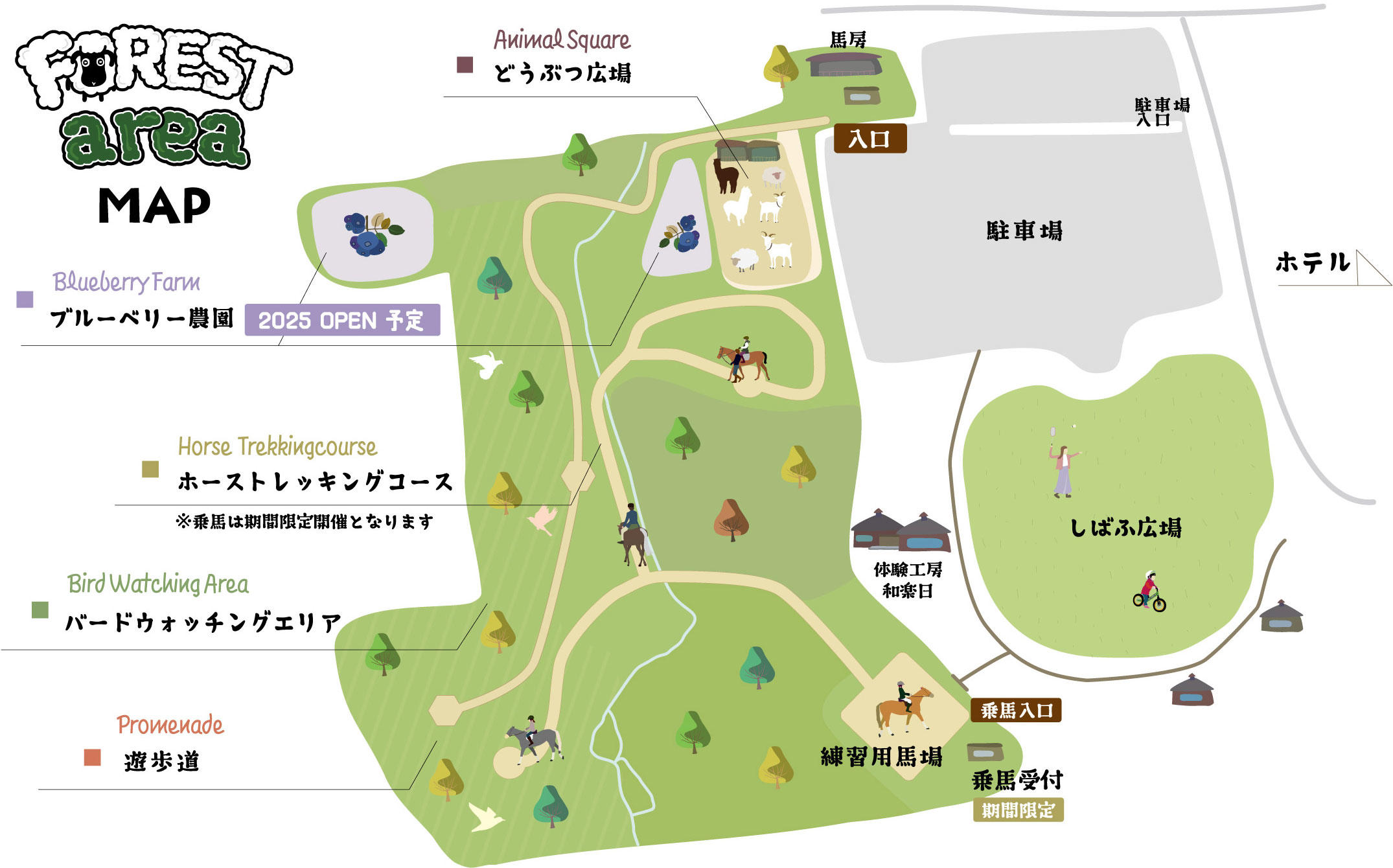 forestarea2.jpg